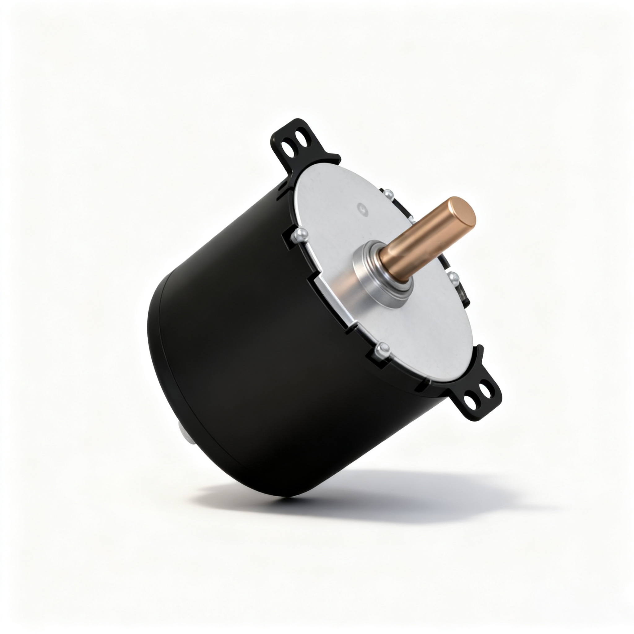 Φ50 交流同步電機